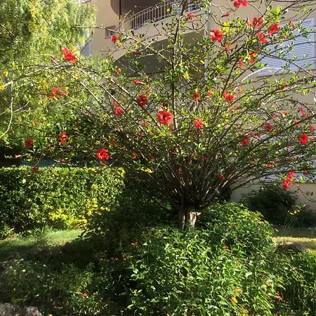 Apartamento Le Cabestan